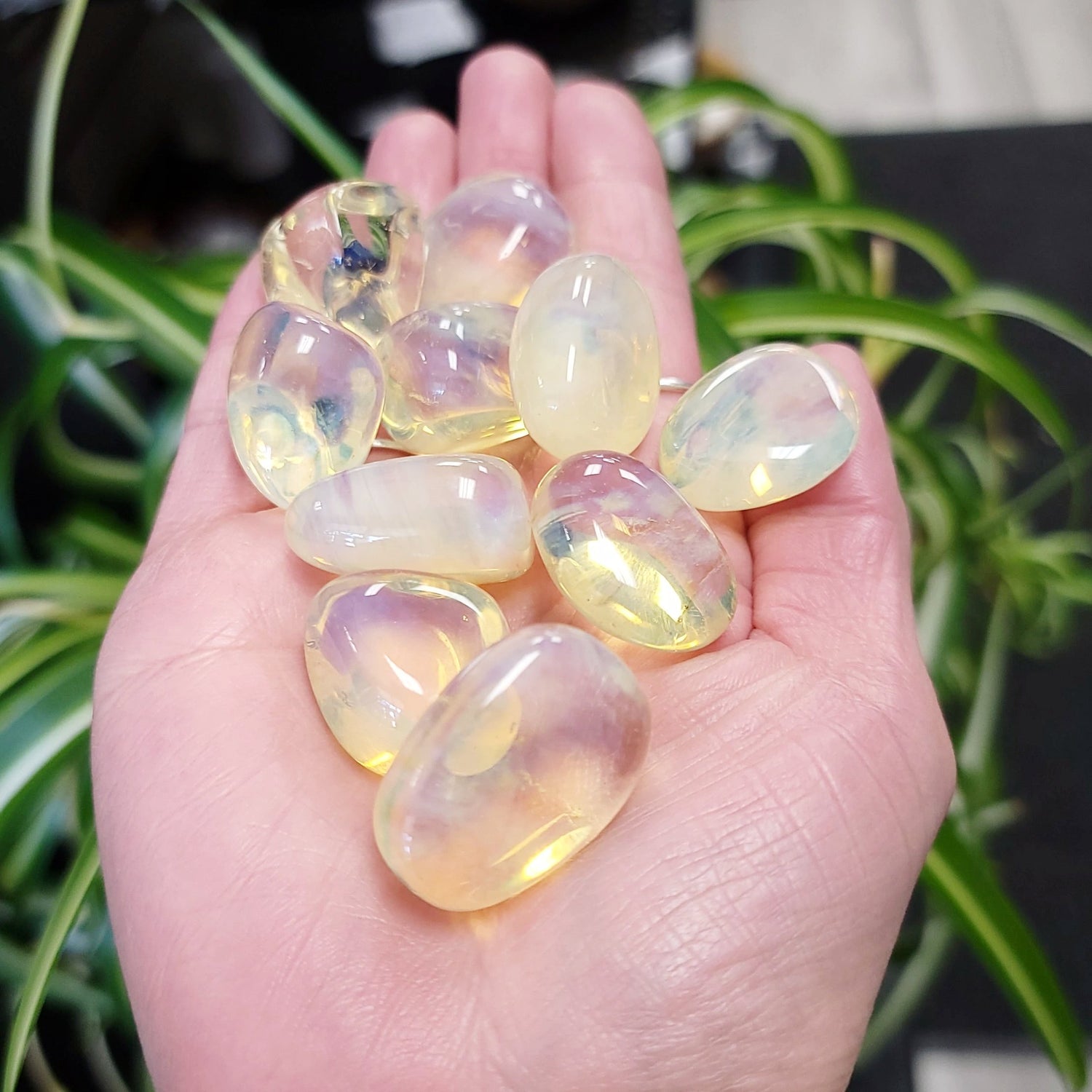 Yellow Opalite Tumbled - Elevated Metaphysical