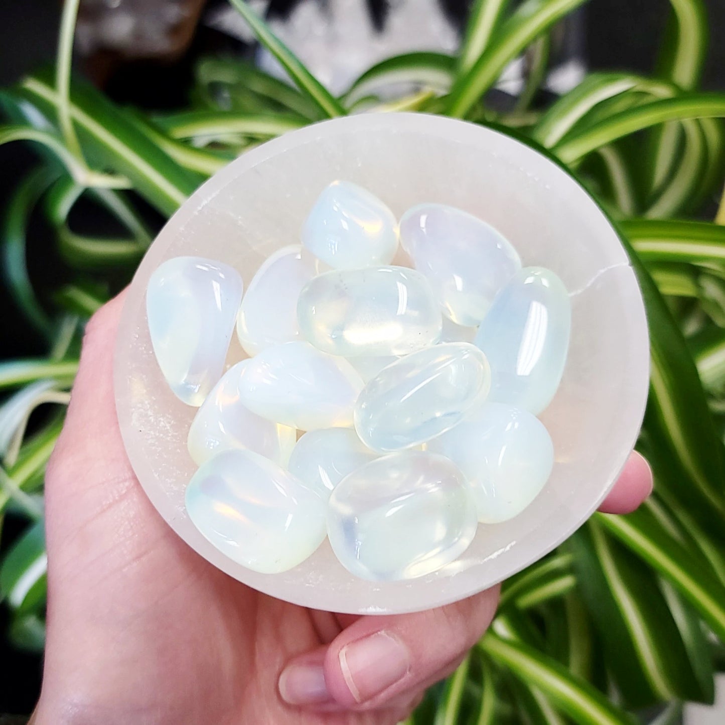 Opalite Tumbled Stone