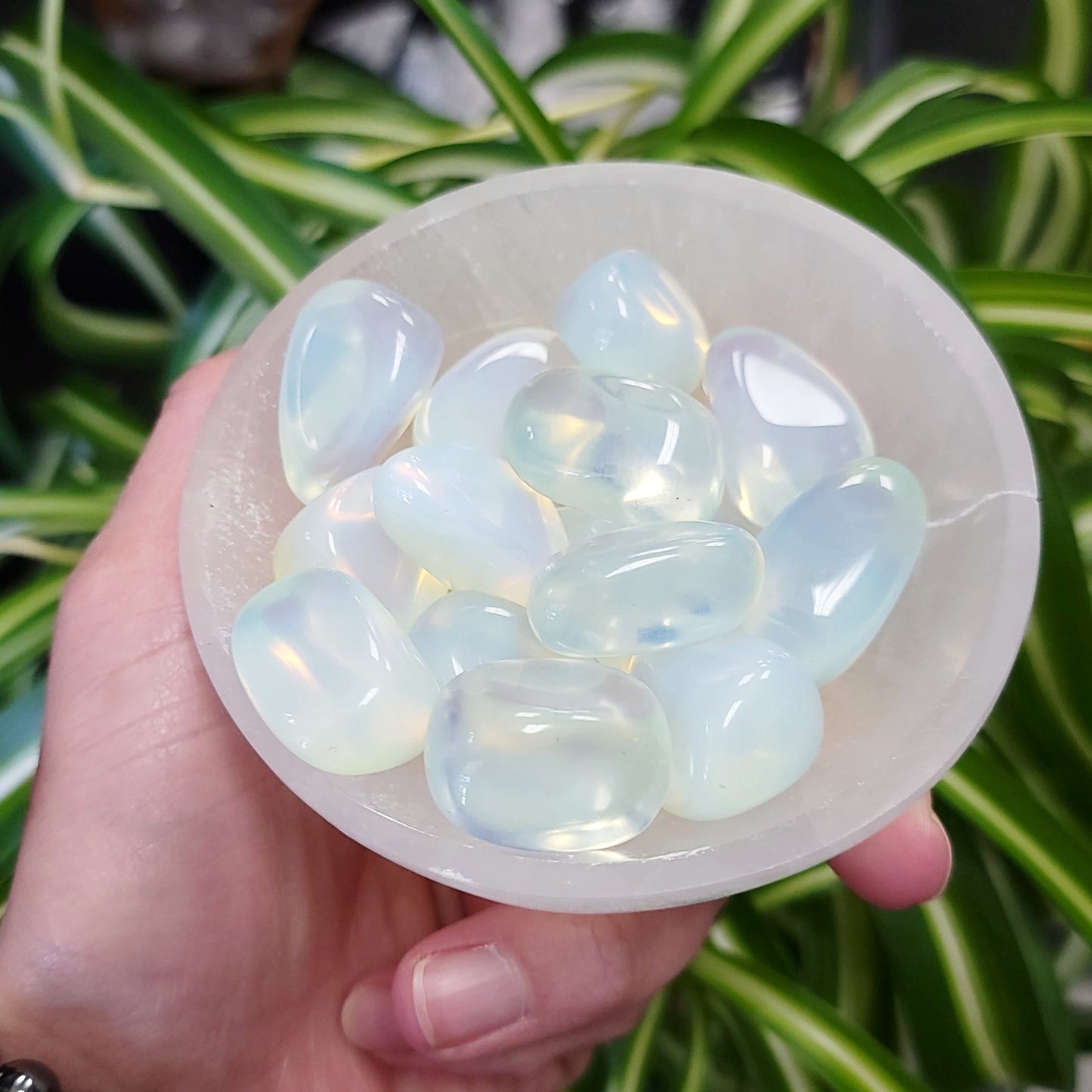 Opalite Tumbled Stone