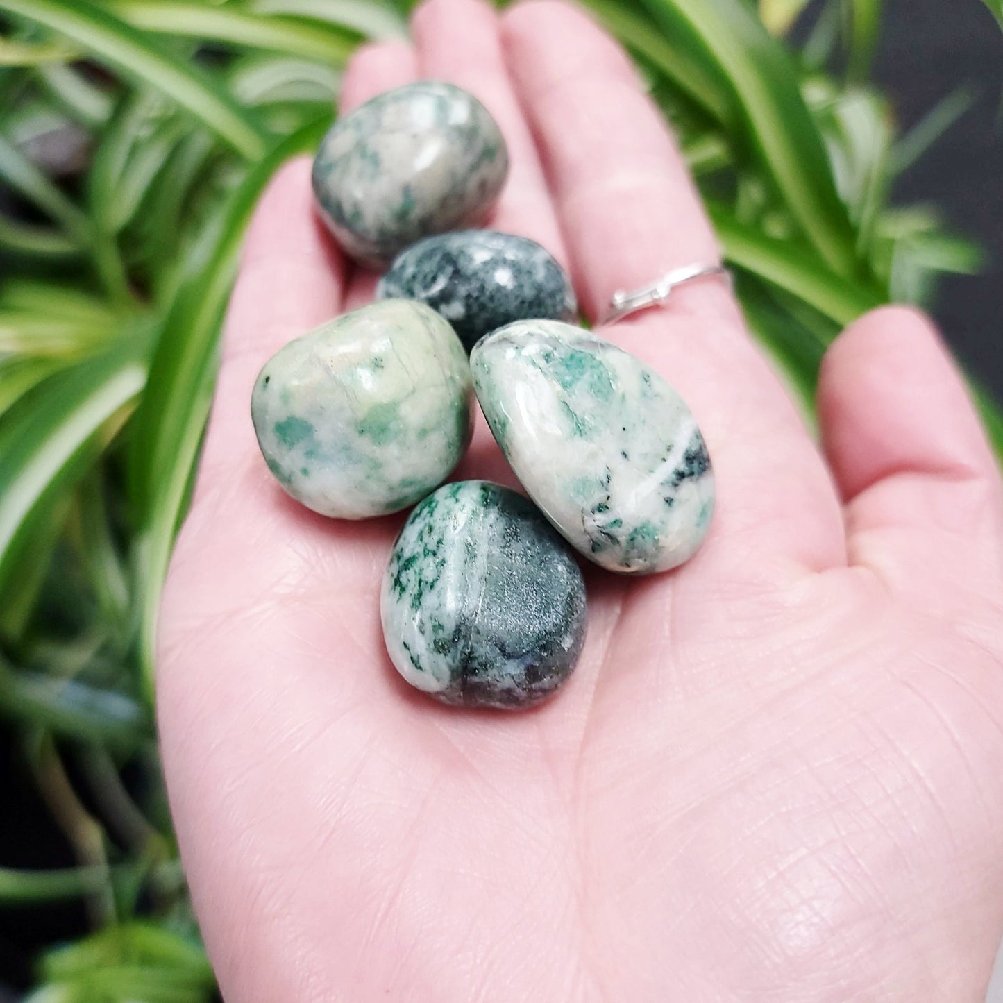 Ching Hai Jade Tumbled Stone - Elevated Metaphysical
