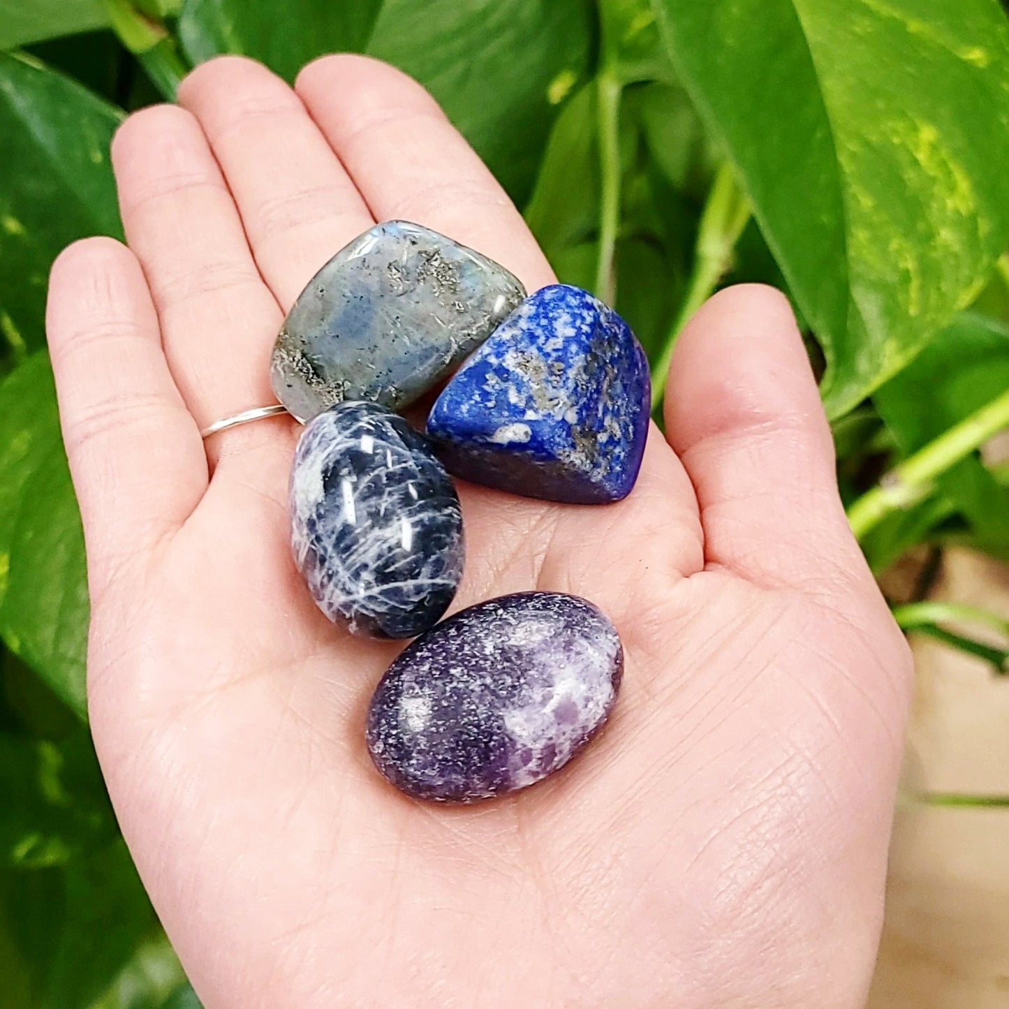 Third Eye Chakra Stone Set - Elevated Metaphysical