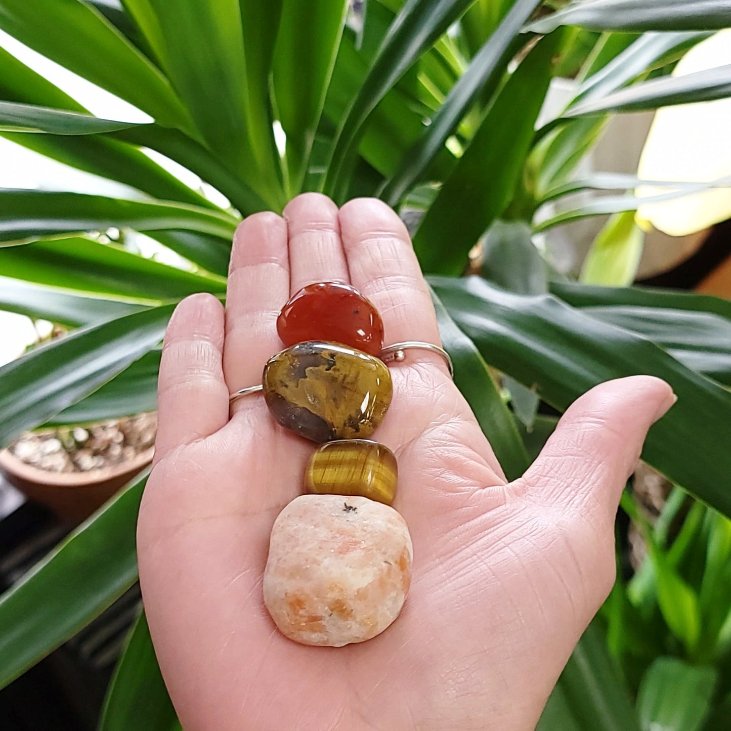 Sacral Chakra Stone Set - Elevated Metaphysical