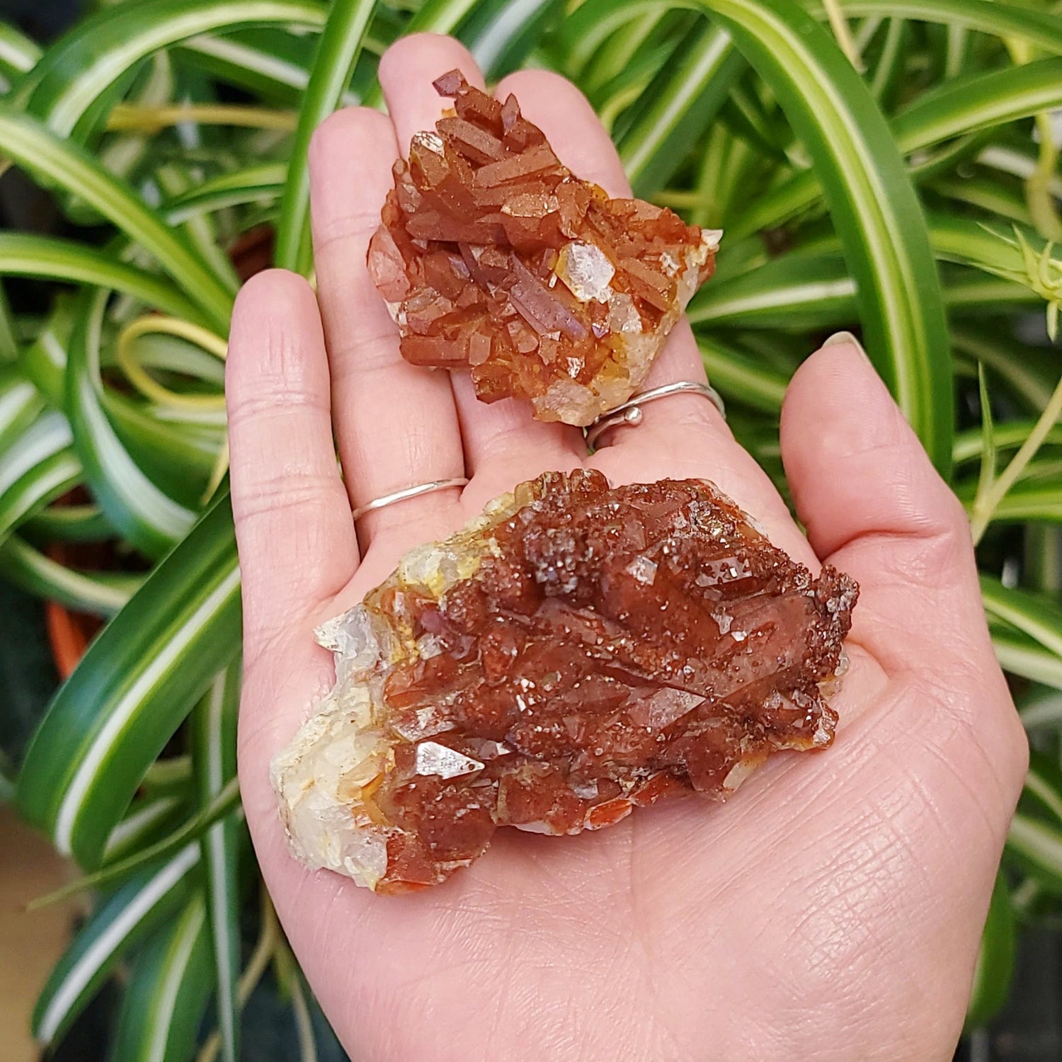 Red Quartz Cluster Rough Stone Specimen - Elevated Metaphysical