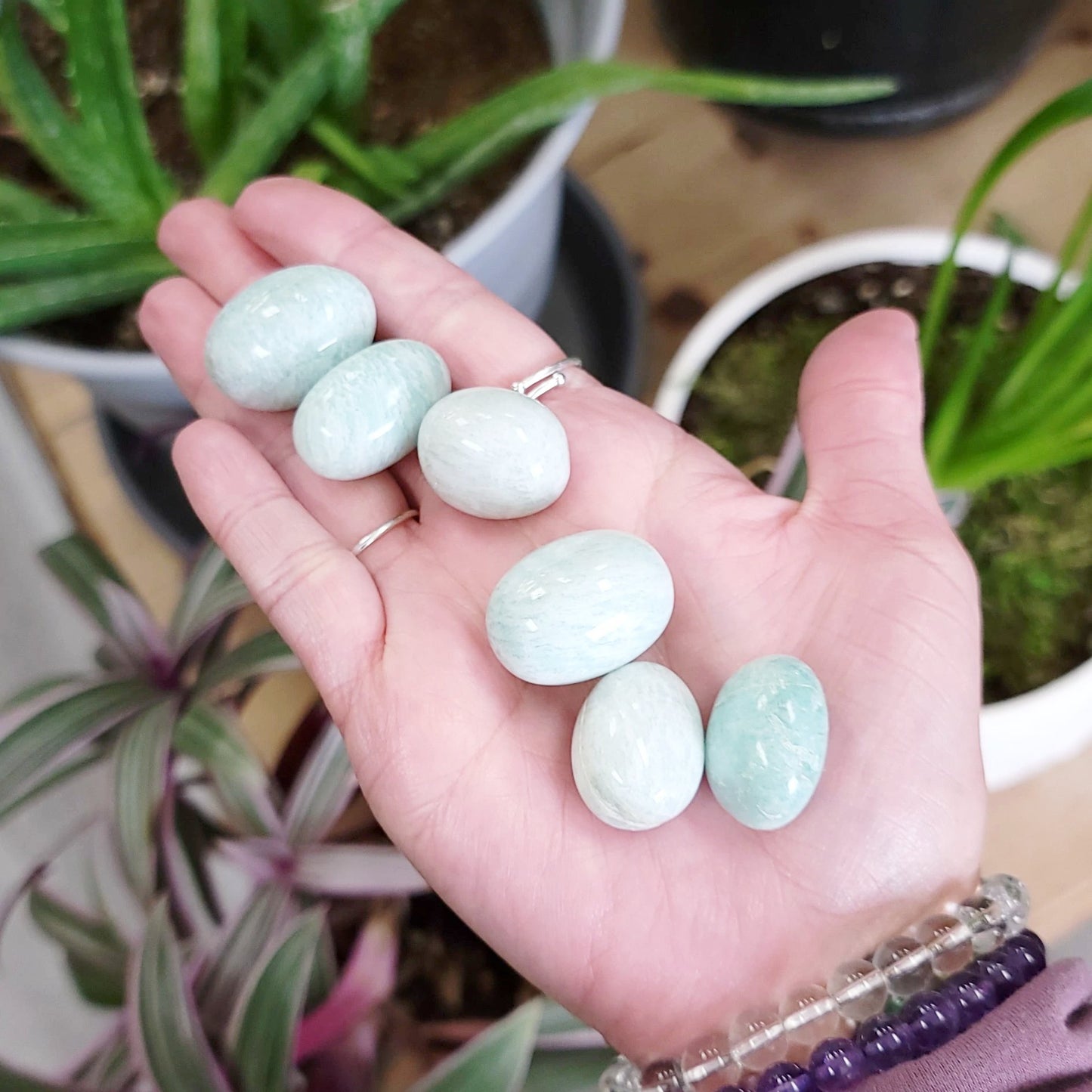 Amazonite Tumbled Stone HQ - Elevated Metaphysical