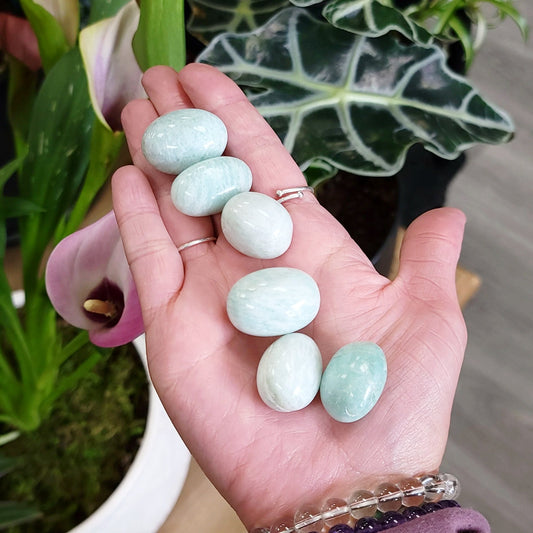 Amazonite Tumbled Stone HQ - Elevated Metaphysical