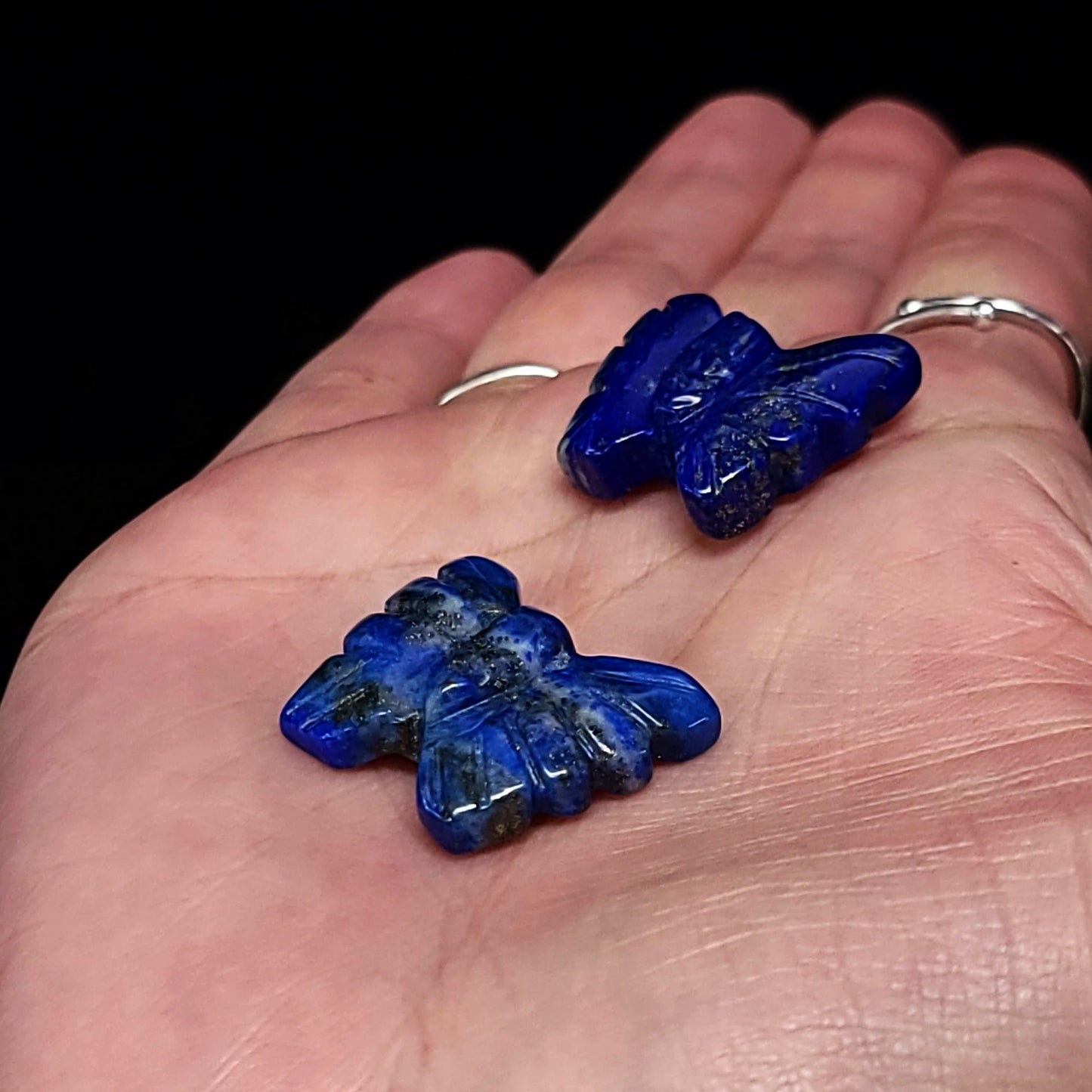 Lapis Lazuli Butterfly Stone 25mm 1" - Elevated Metaphysical