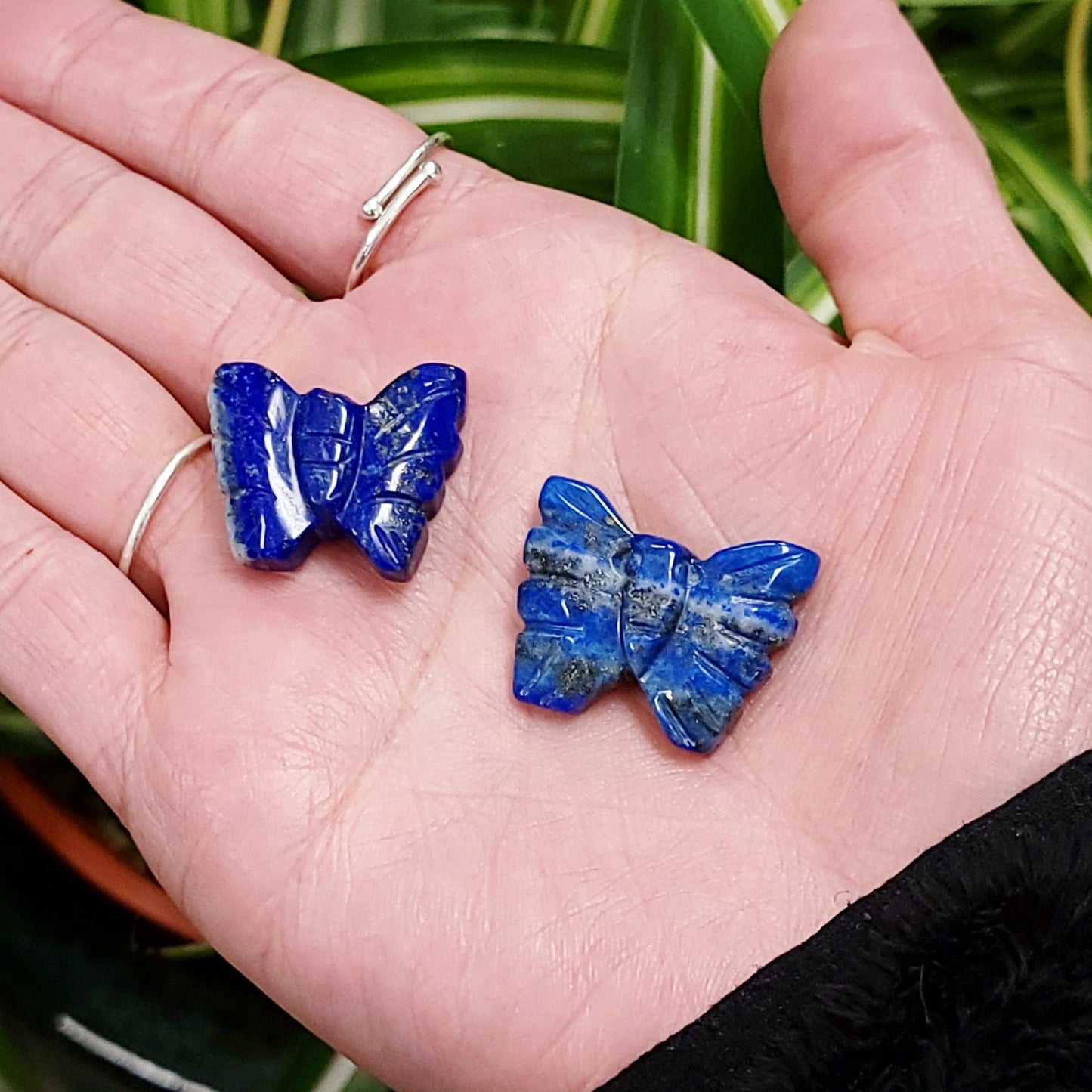 Lapis Lazuli Butterfly Stone 25mm 1" - Elevated Metaphysical
