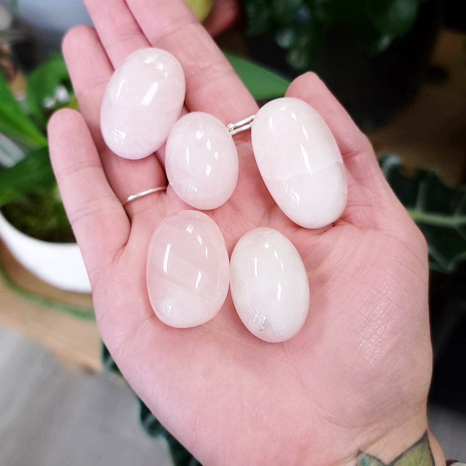 Rose Quartz Tumbled Stone HQ - Elevated Metaphysical