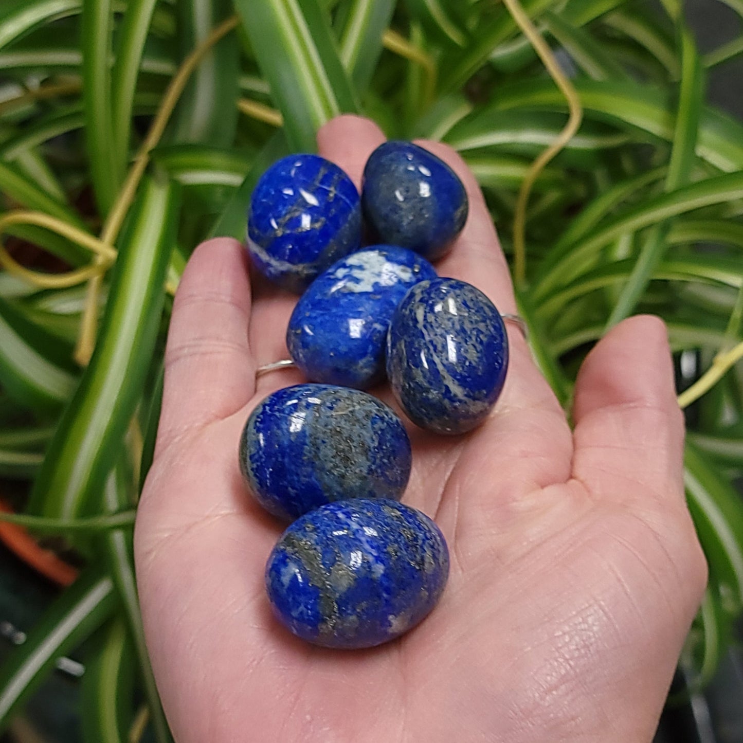 Lapis Lazuli Tumbled Stone HQ - Elevated Metaphysical