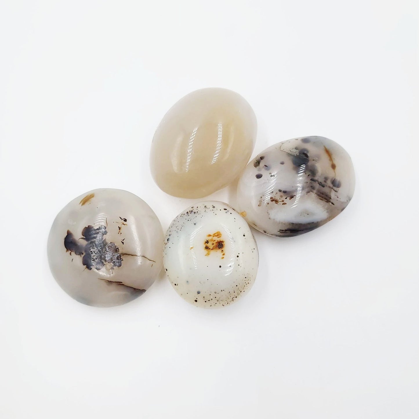 Dendretic Agate Palm Stone Gallet - Elevated Metaphysical