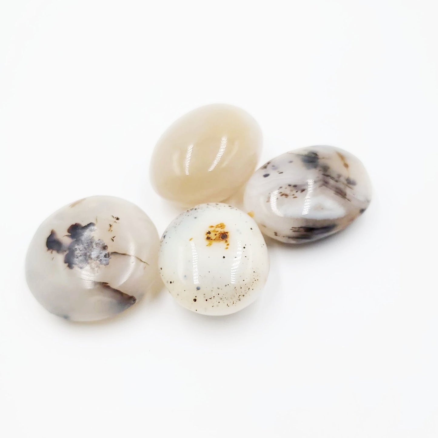 Dendretic Agate Palm Stone Gallet - Elevated Metaphysical