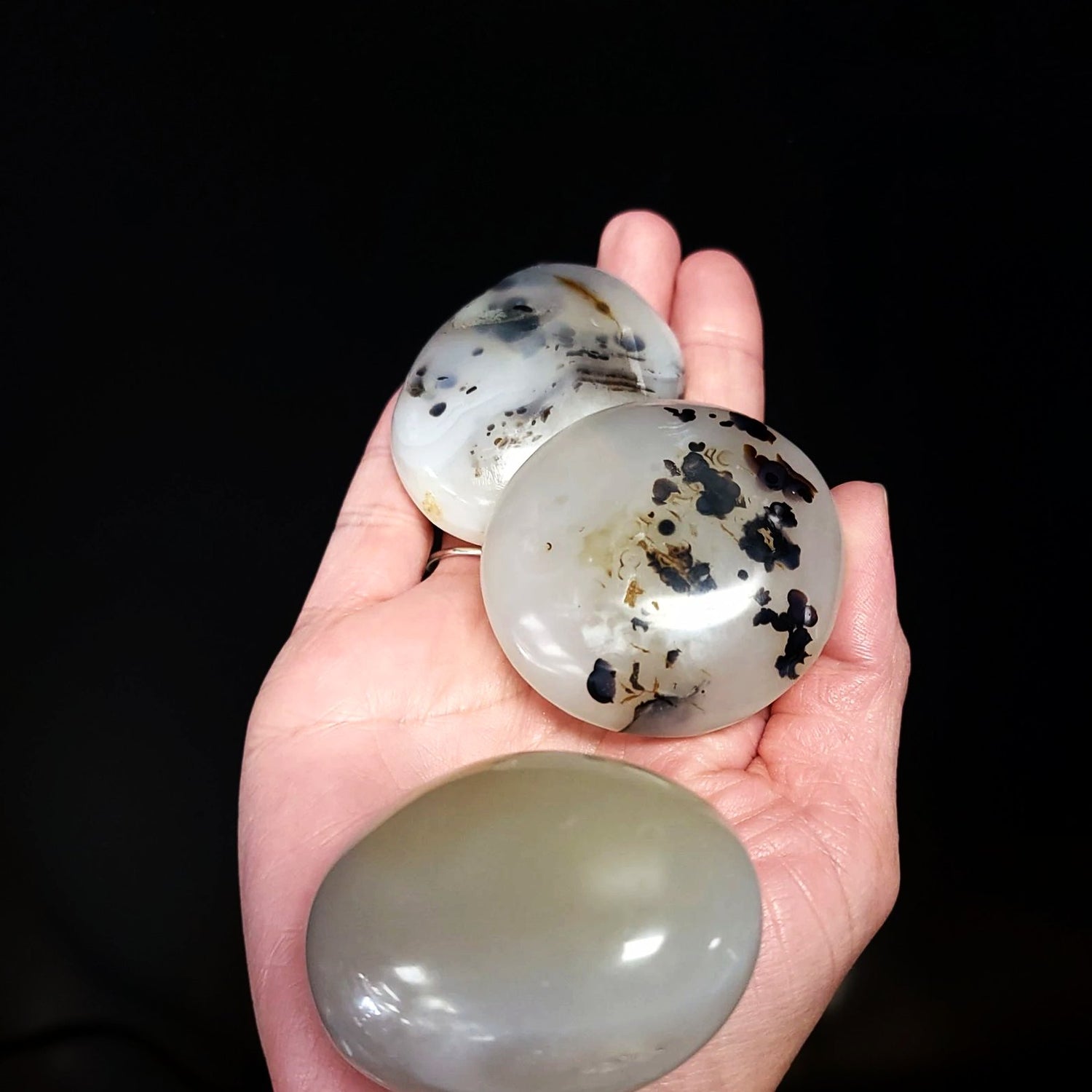 Dendretic Agate Palm Stone Gallet - Elevated Metaphysical