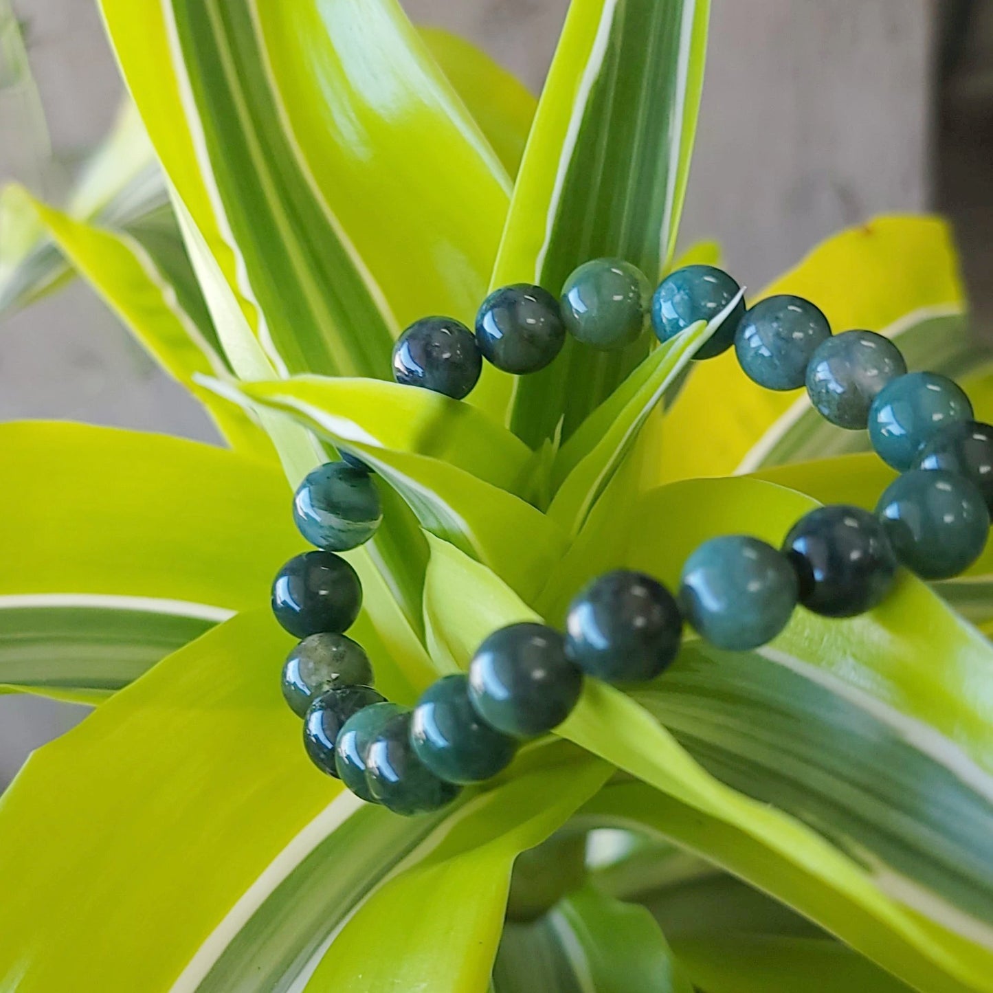 Moss Agate Bracelet 8mm Bead Bracelet