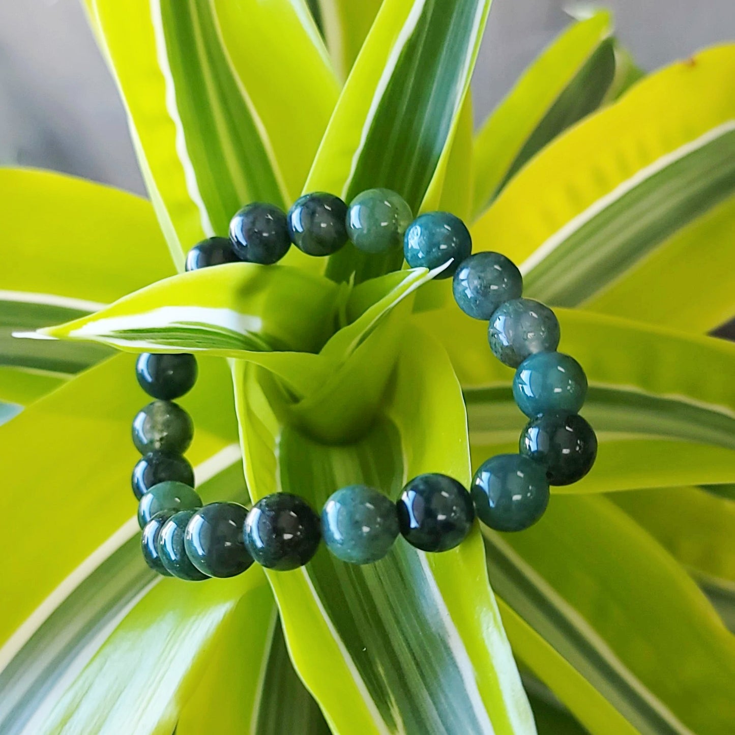 Moss Agate Bracelet 8mm Bead Bracelet