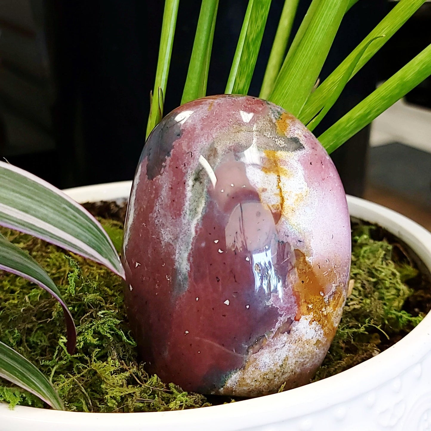 Ocean Jasper Free Form Geode Polished 430g 15.2oz 9.2cm 3.6" - Elevated Metaphysical