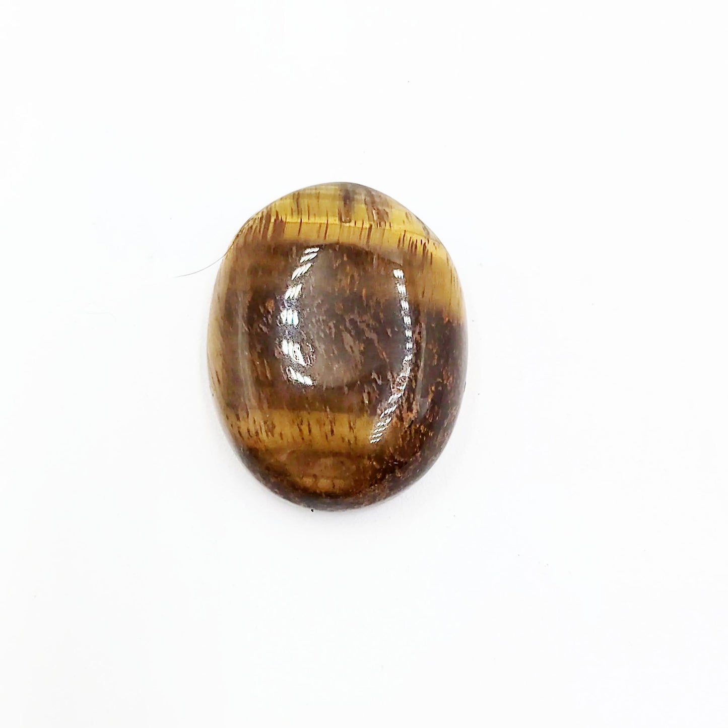 Tiger Eye Cabochon Oval Polished Cut Stone - Elevated Metaphysical