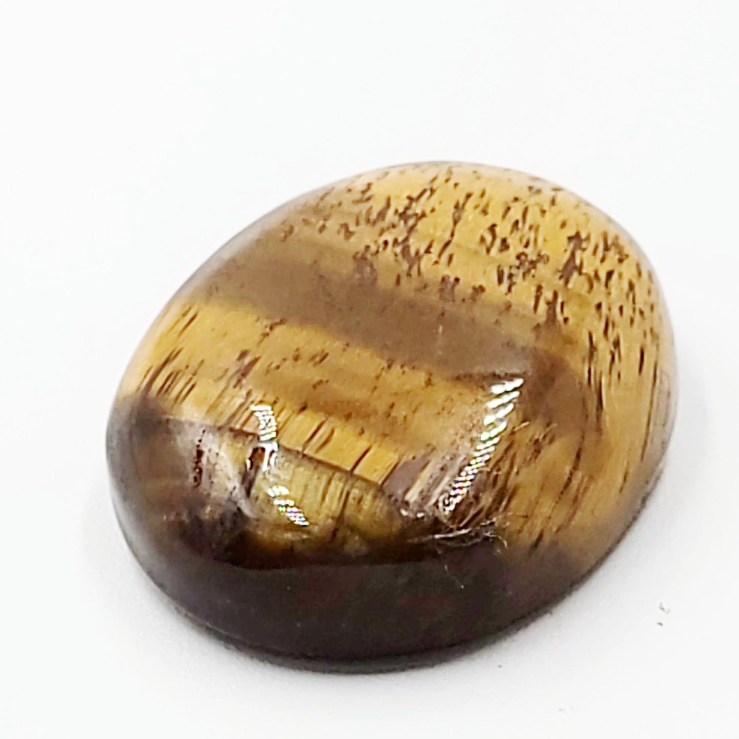 Tiger Eye Cabochon Oval Polished Cut Stone - Elevated Metaphysical