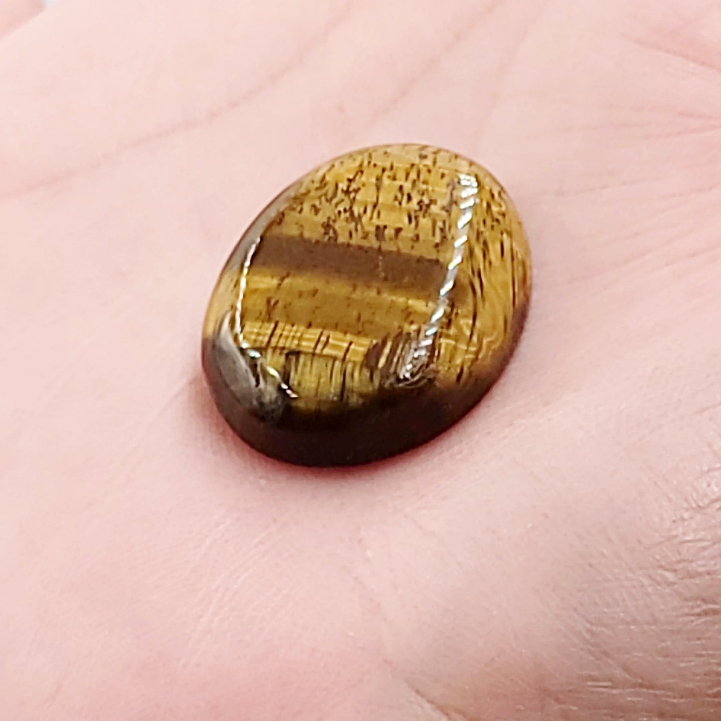 Tiger Eye Cabochon Oval Polished Cut Stone - Elevated Metaphysical