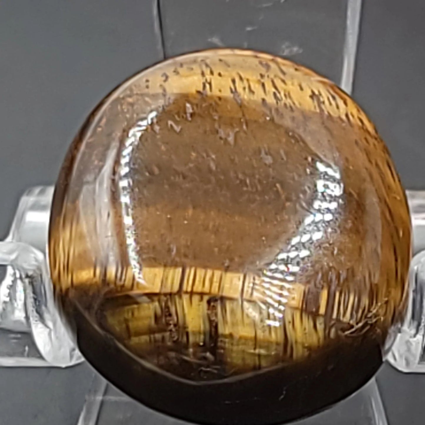 Tiger Eye Cabochon Oval Polished Cut Stone - Elevated Metaphysical