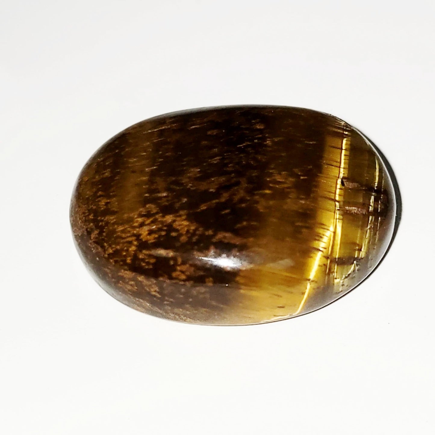 Tiger Eye Cabochon Oval Polished Cut Stone - Elevated Metaphysical