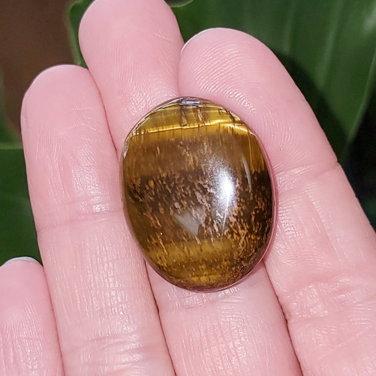 Tiger Eye Cabochon Oval Polished Cut Stone - Elevated Metaphysical