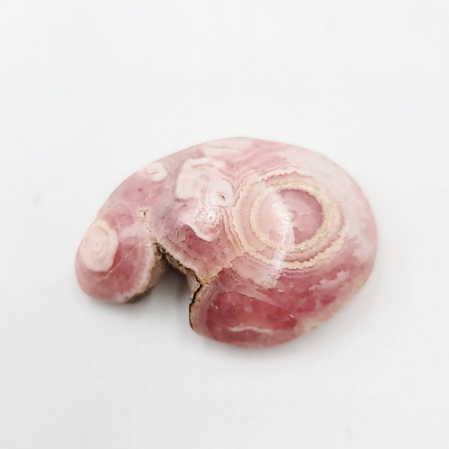 Rhodochrosite Cabochon Free Form "Kidney" Polished Cut Stone - Elevated Metaphysical