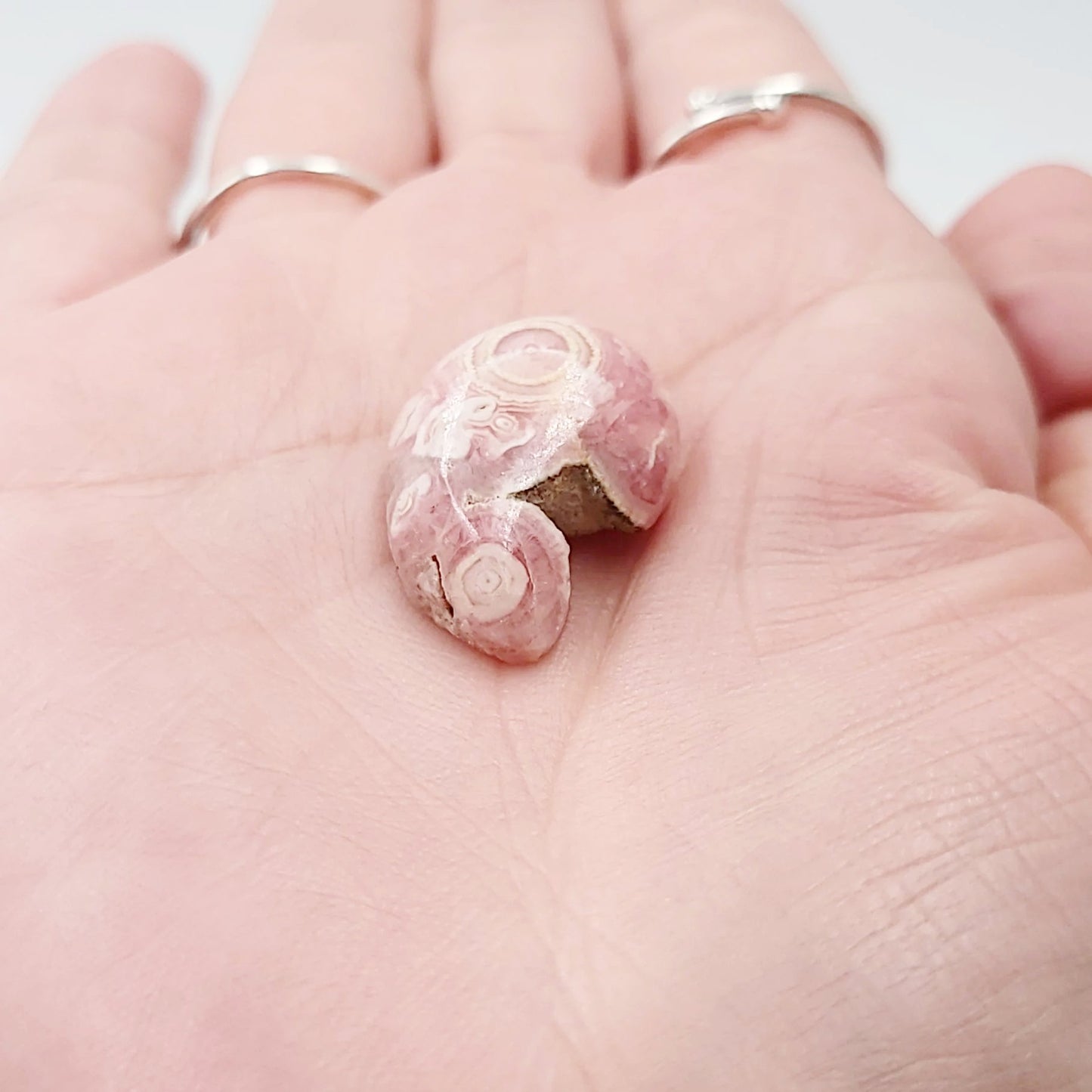 Rhodochrosite Cabochon Free Form "Kidney" Polished Cut Stone - Elevated Metaphysical