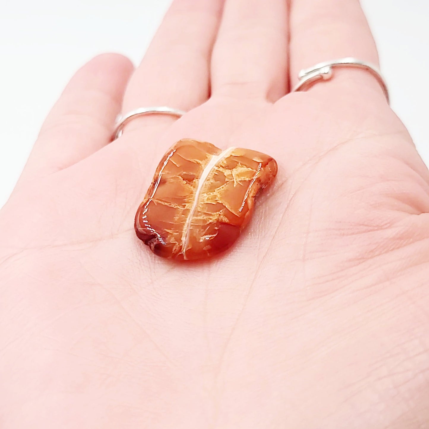 Carnelian Cabochon Free Form "Small" Polished Cut Stone - Elevated Metaphysical