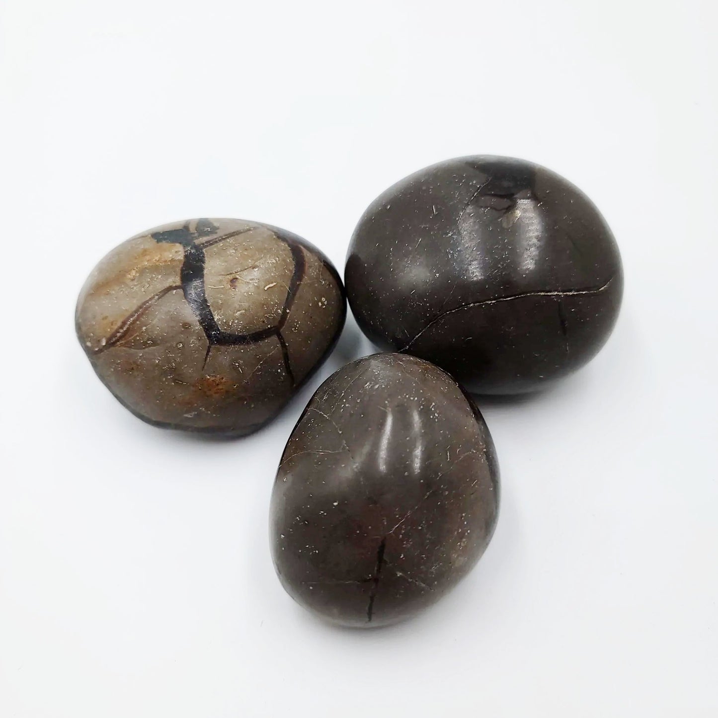 Septarian Palm Stone Gallet