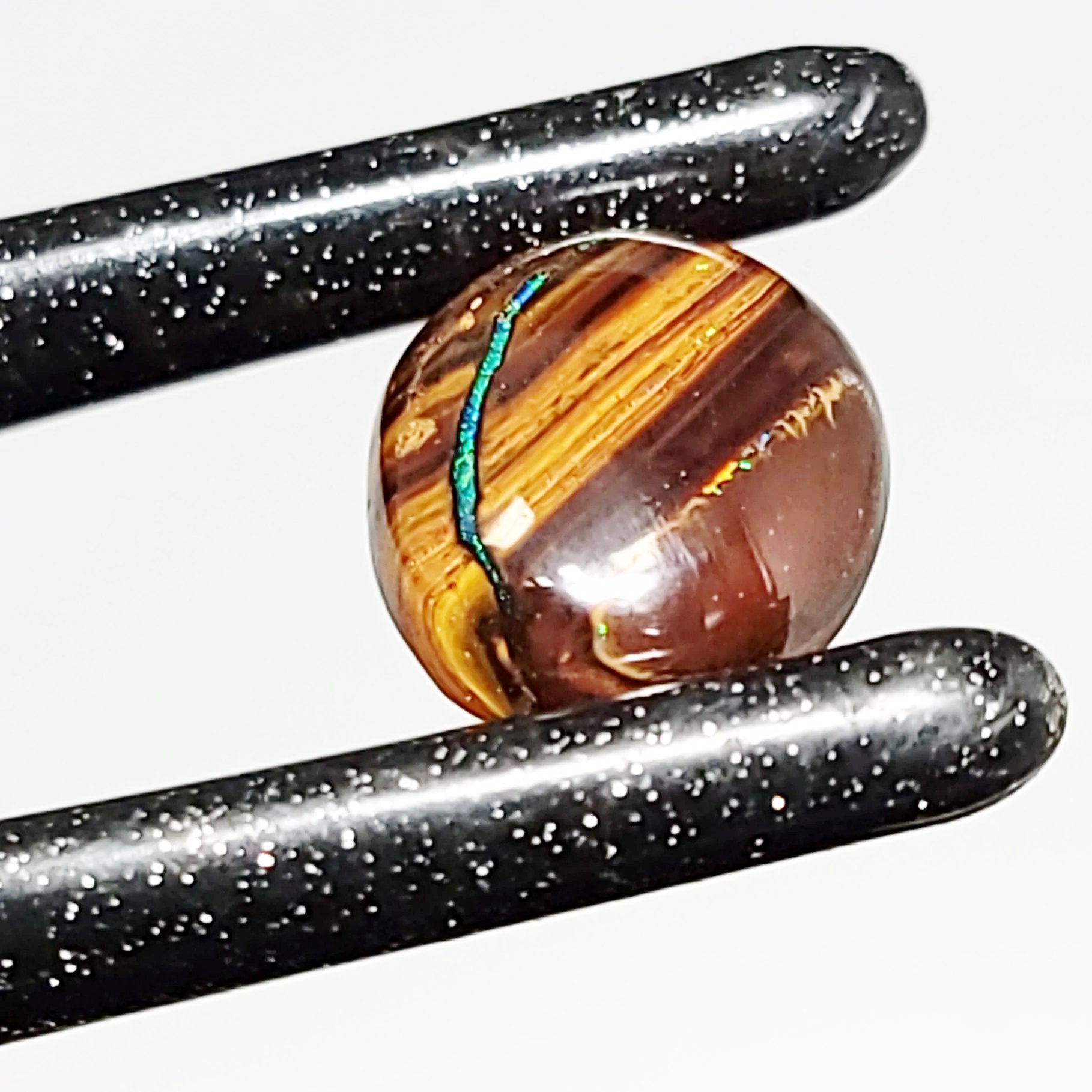 Koroit Nut Boulder Opal 11.5ct Cabochon Oval Polished Cut Stone - Elevated Metaphysical