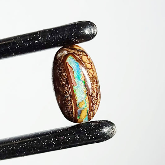 Koroit Nut Boulder Opal 5.7ct Cabochon Oval Polished Cut Stone