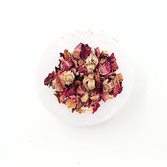 Red Rose Bud & Petals Flower