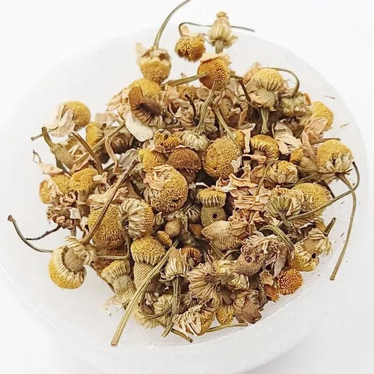 Chamomile Flower - Elevated Metaphysical