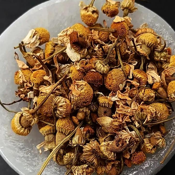 Chamomile Flower - Elevated Metaphysical