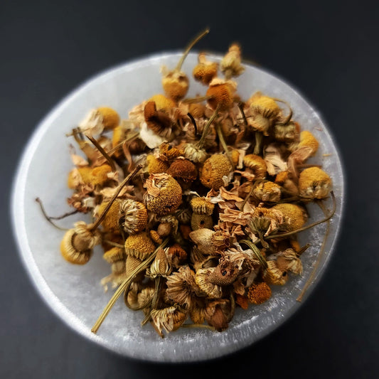 Chamomile Flower - Elevated Metaphysical