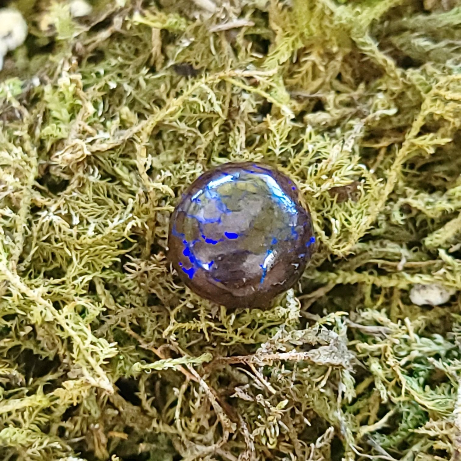 Purple Boulder Opal 6.0ct Cabochon Winton Matrix Round Polished Cut Stone - Elevated Metaphysical