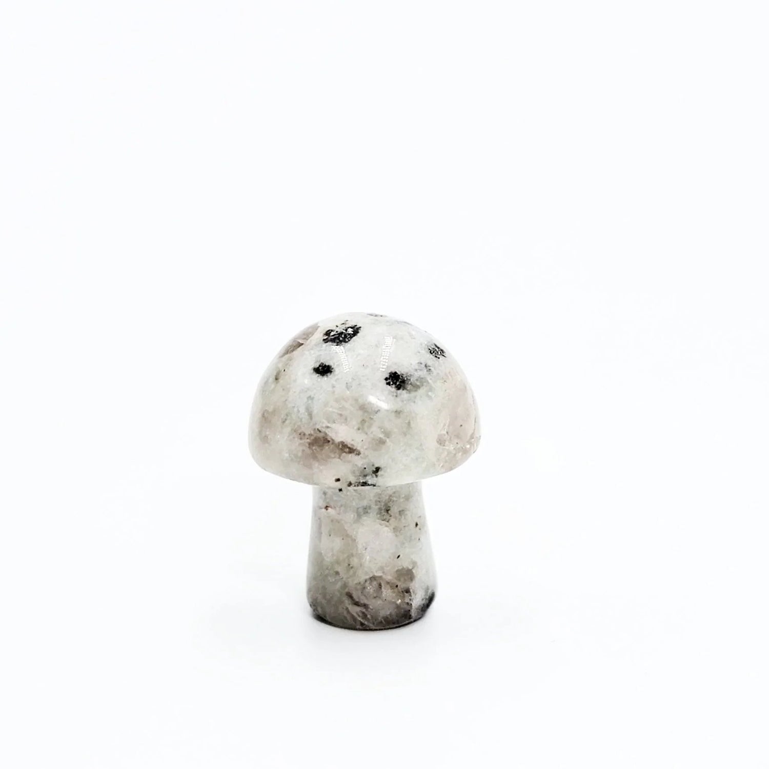 Gemstone Mushroom Figurine Carving 20mm 0.8" Mini Shroom - Elevated Metaphysical