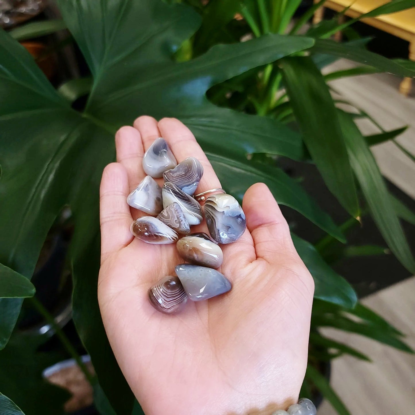 Botswana Agate Tumbled Stone Small