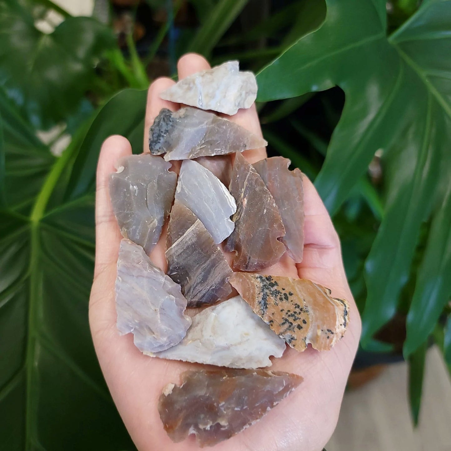 Agate Arrowhead Rough Stone - Elevated Metaphysical