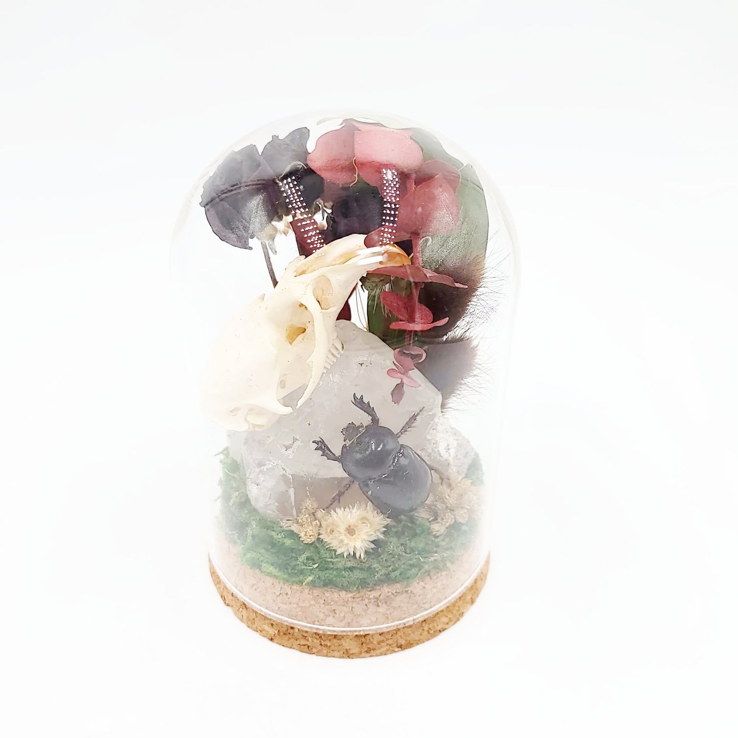 Clear Quartz, Ox Beetle, Muskrat Skull, and Red Rose Fairy Garden Curio Capsule Oddities Jar