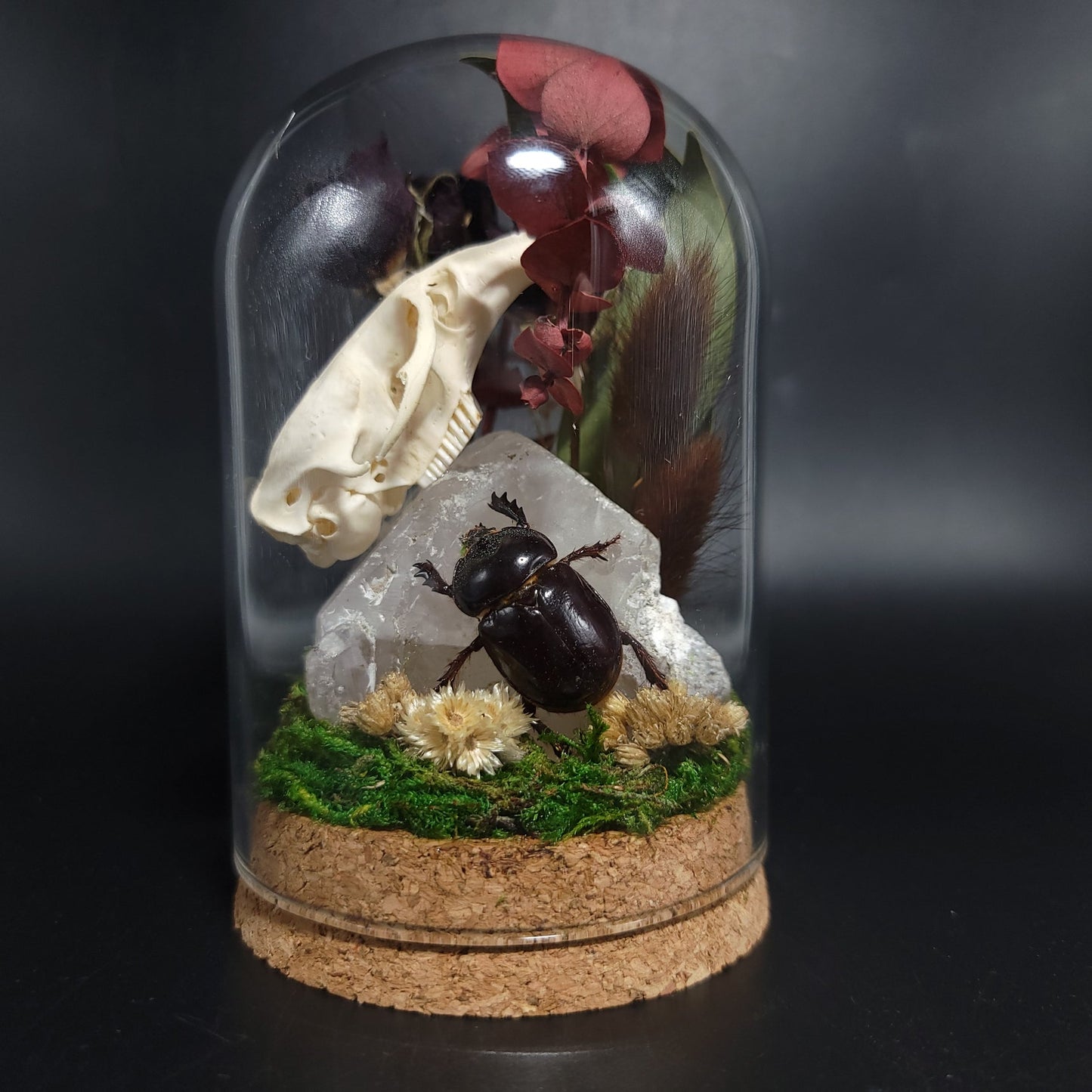 Clear Quartz, Ox Beetle, Muskrat Skull, and Red Rose Fairy Garden Curio Capsule Oddities Jar