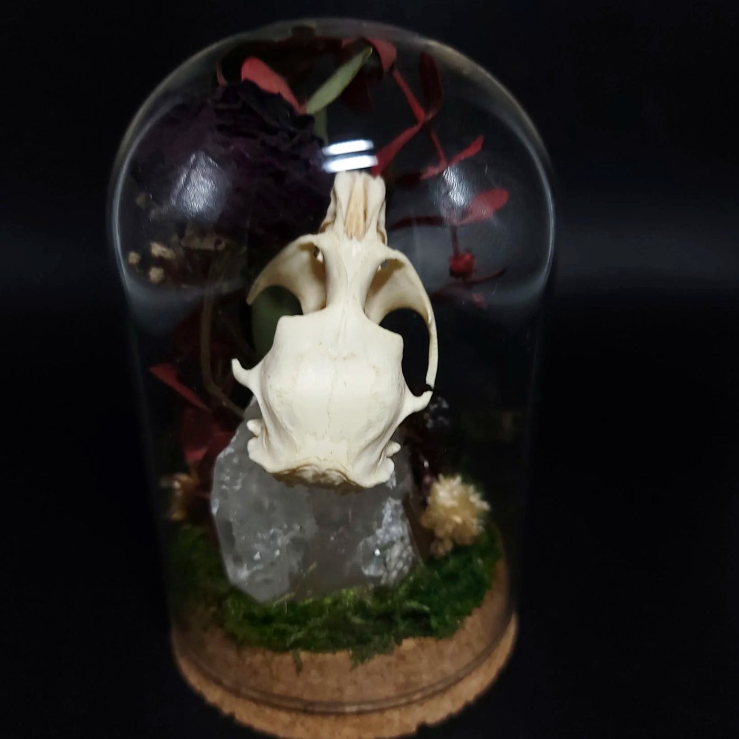 Clear Quartz, Ox Beetle, Muskrat Skull, and Red Rose Fairy Garden Curio Capsule Oddities Jar