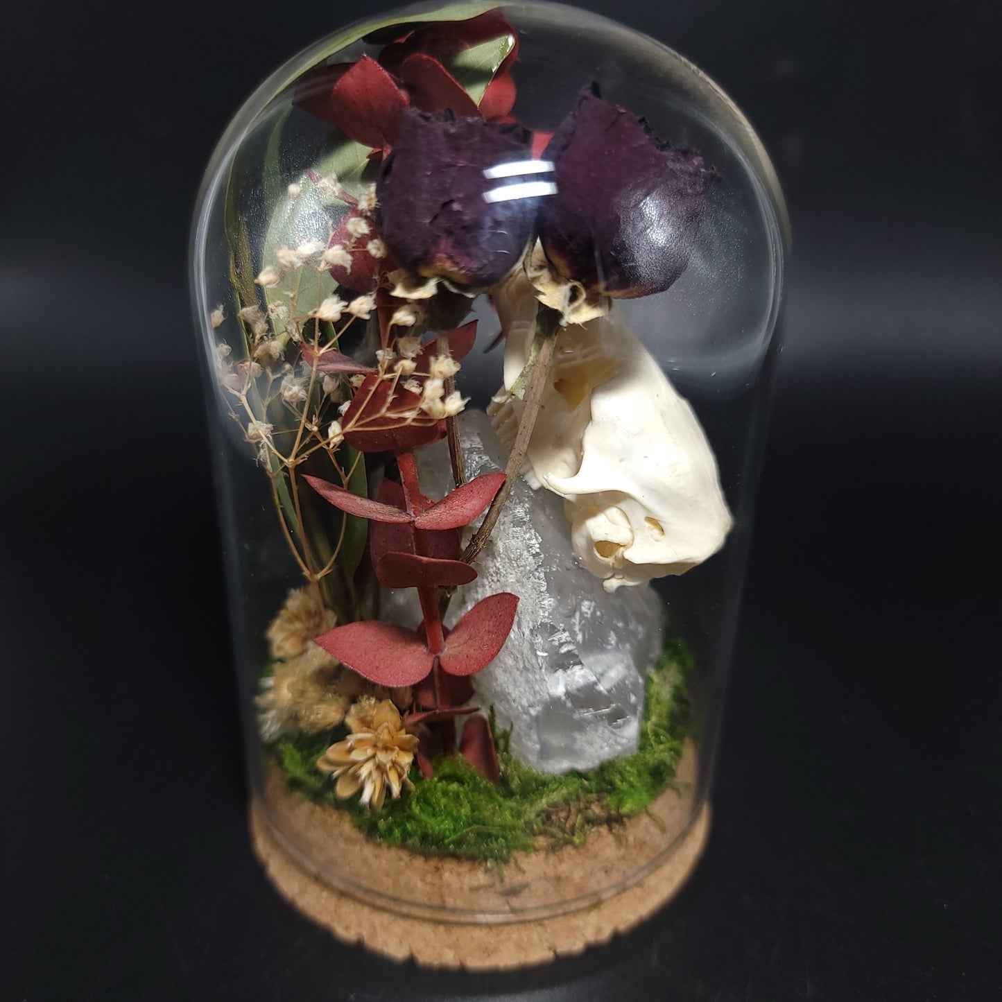 Clear Quartz, Ox Beetle, Muskrat Skull, and Red Rose Fairy Garden Curio Capsule Oddities Jar