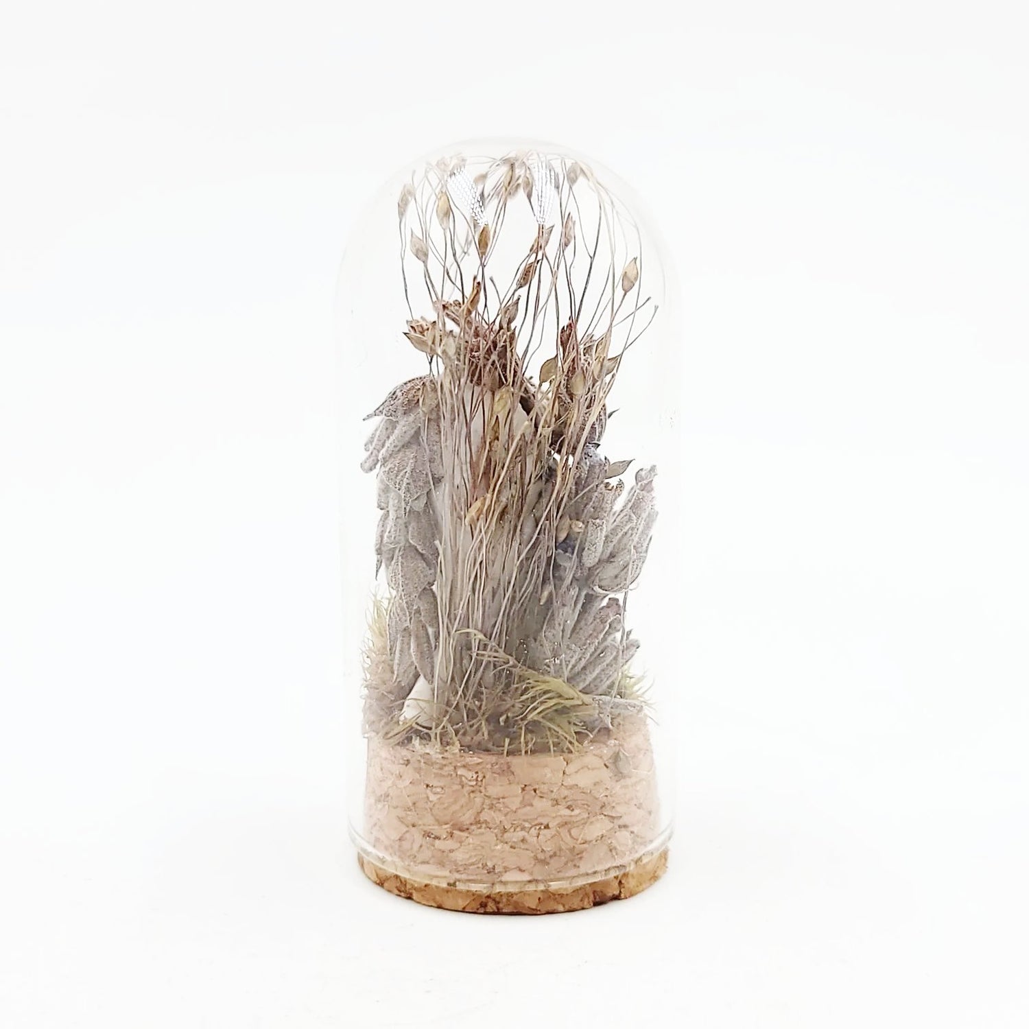 Howlite and Fly Small Crystal Garden Fairy Garden Curio Capsule Oddities Jar - Elevated Metaphysical