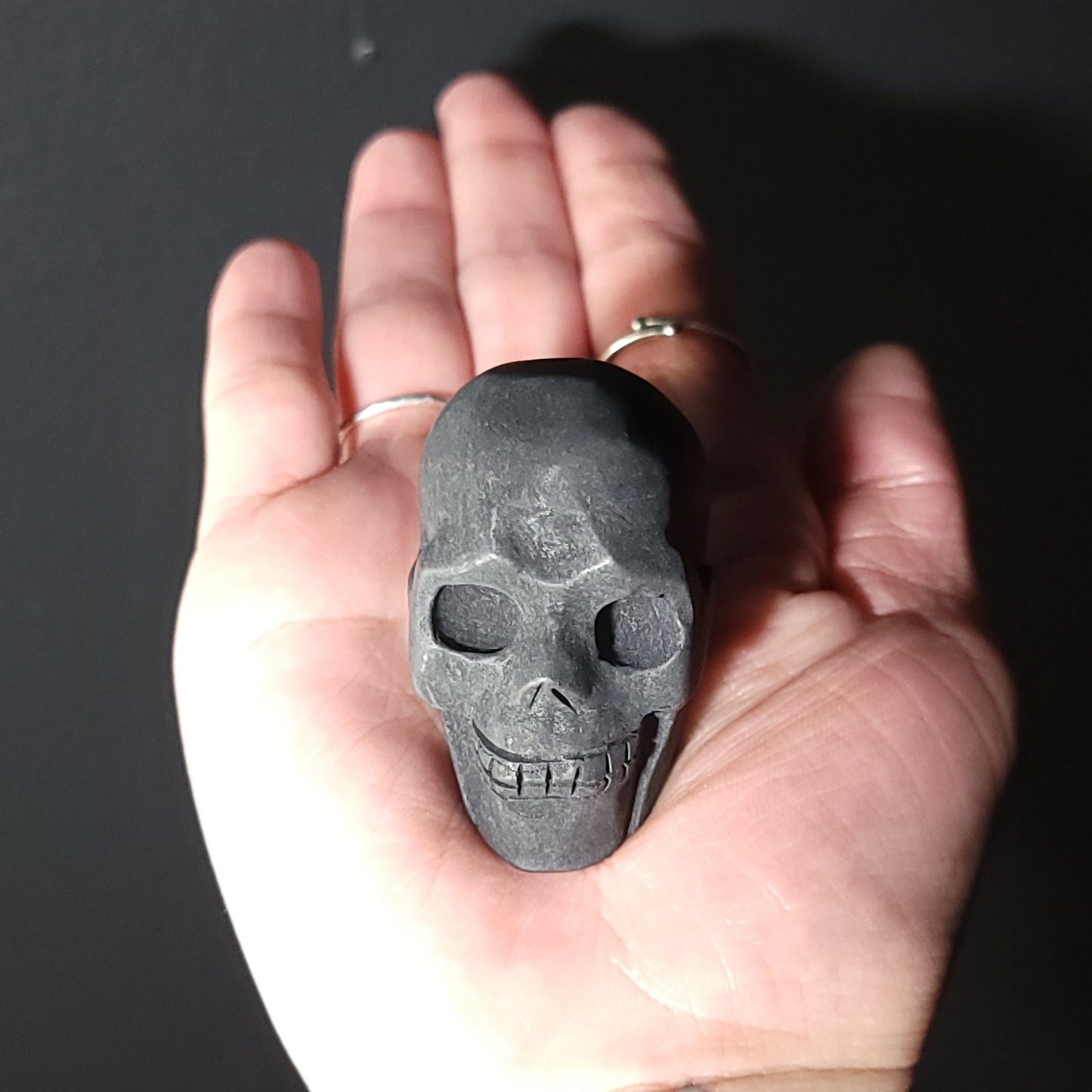 Shungite Skull Stone "Small"