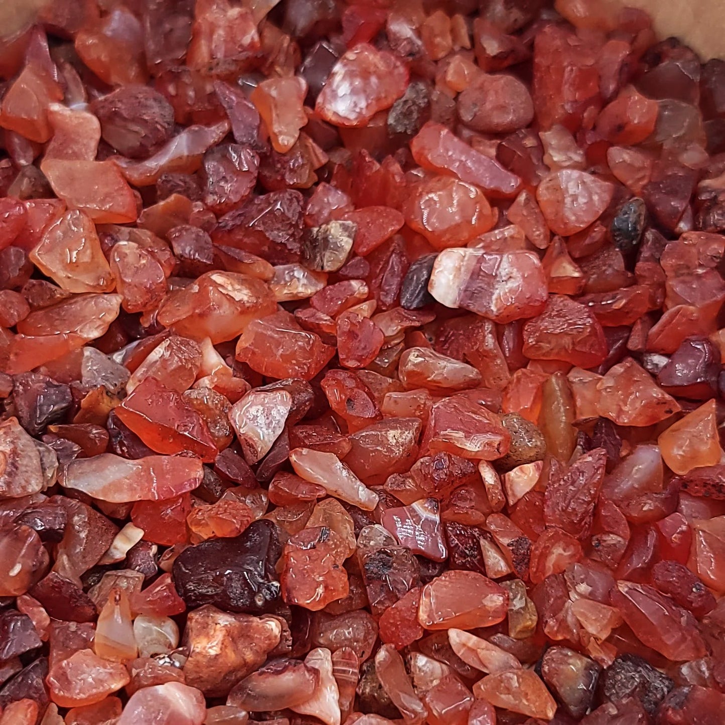 Carnelian Chips - Elevated Metaphysical