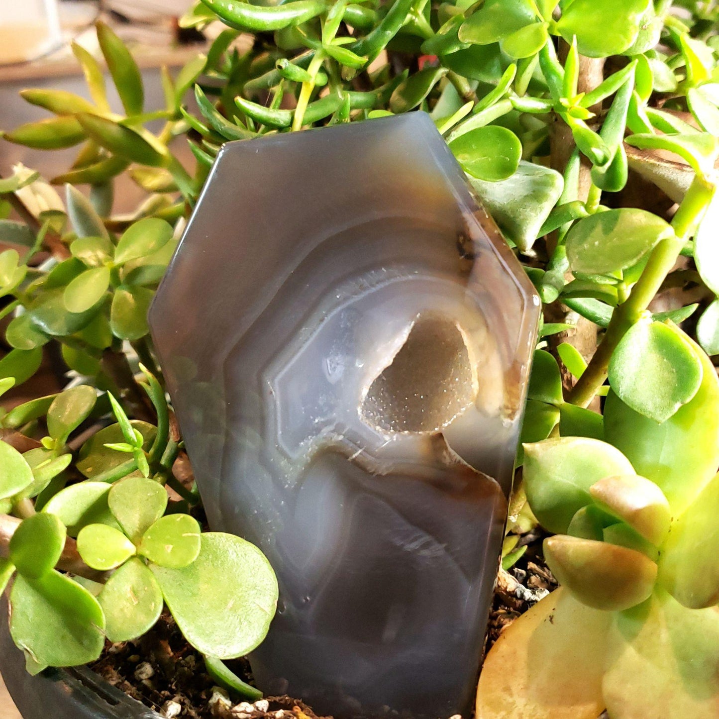 Druzy Agate Coffin Polished Banded Agate Slab